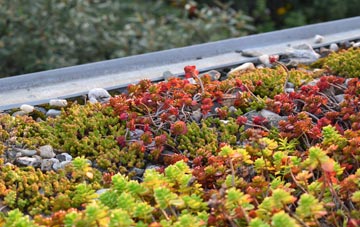 the cost of Cotton End green roof installation
