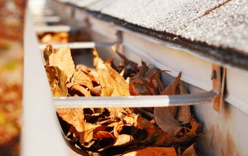 Cotton End gutter cleaning companies