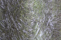 Cotton End fibreglass roof work